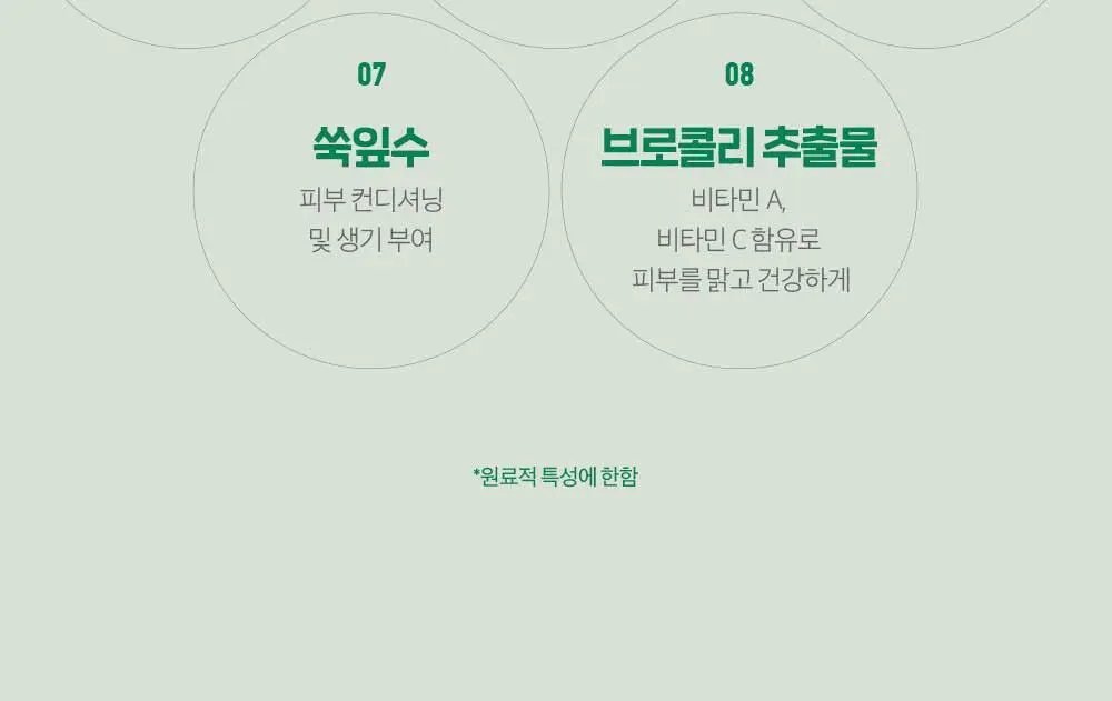 [레오제이 Pick] 슈레피 겟리프 트윈 패드팩 20팩 (40매) 상세페이지 25